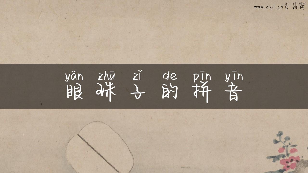 眼珠子的拼音