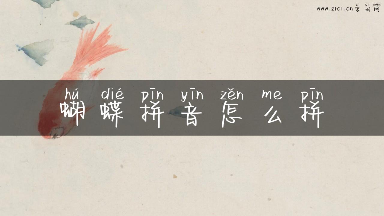 蝴蝶拼音怎么拼