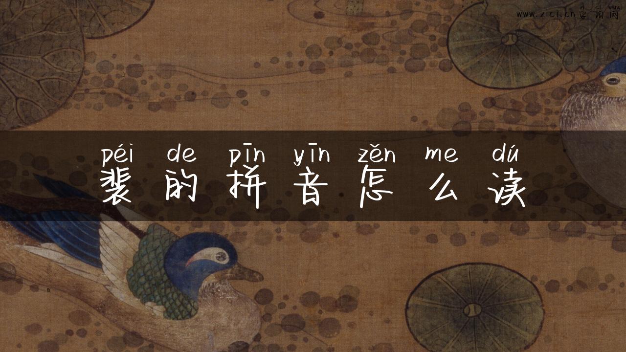 裴的拼音怎么读