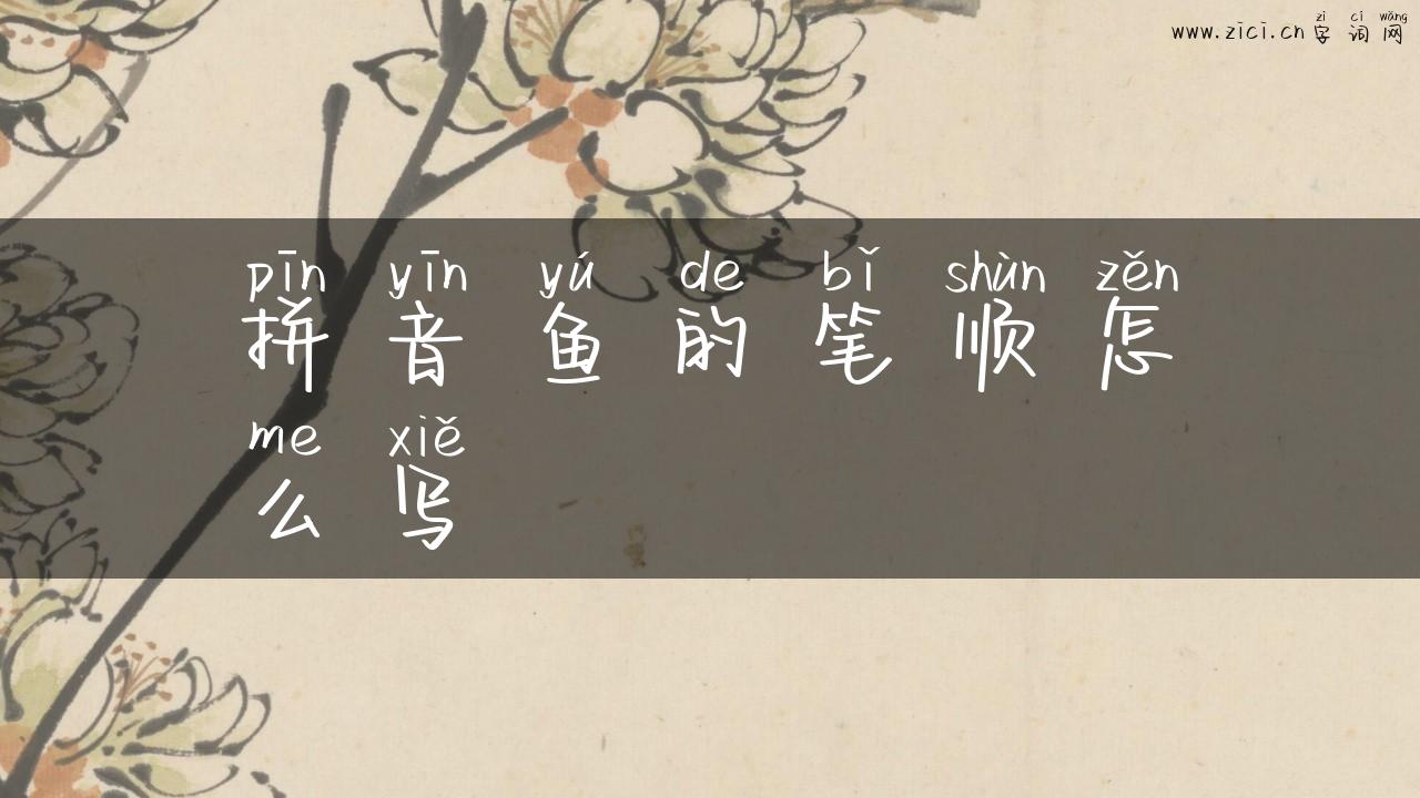 拼音鱼的笔顺怎么写
