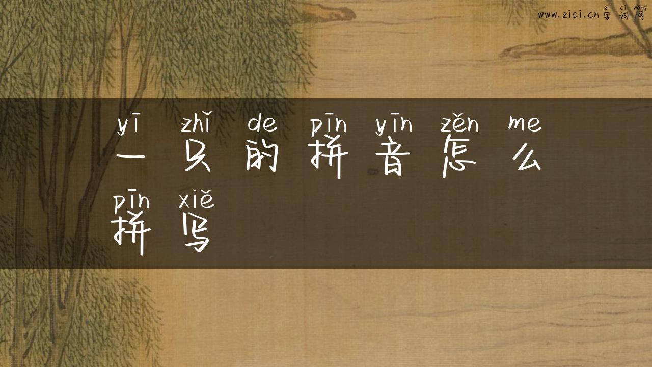 一只的拼音怎么拼写