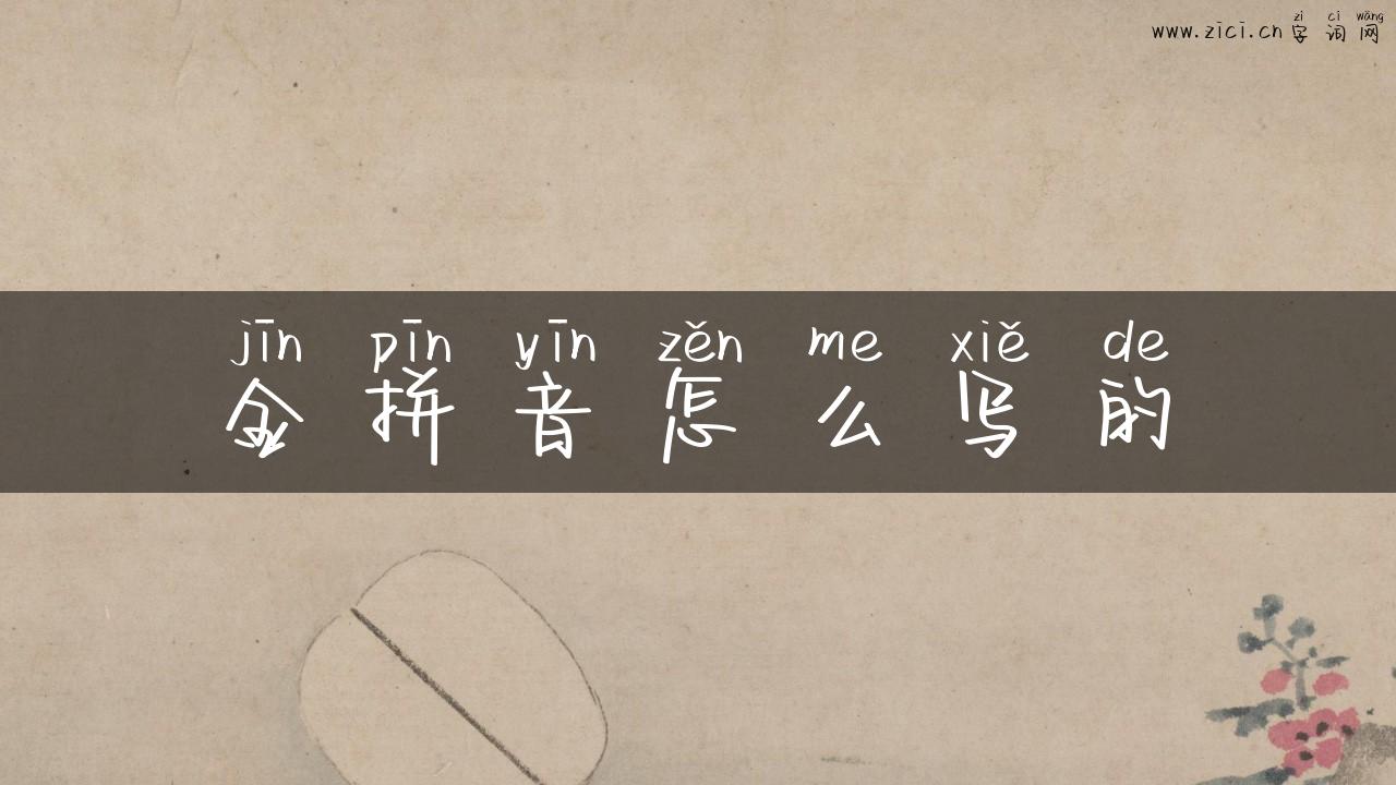 金拼音怎么写的