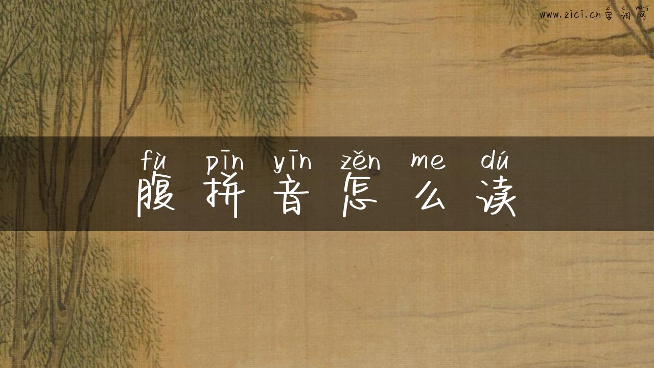 腹拼音怎么读