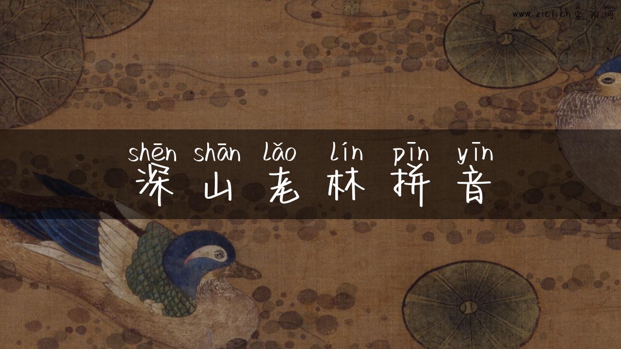 深山老林拼音