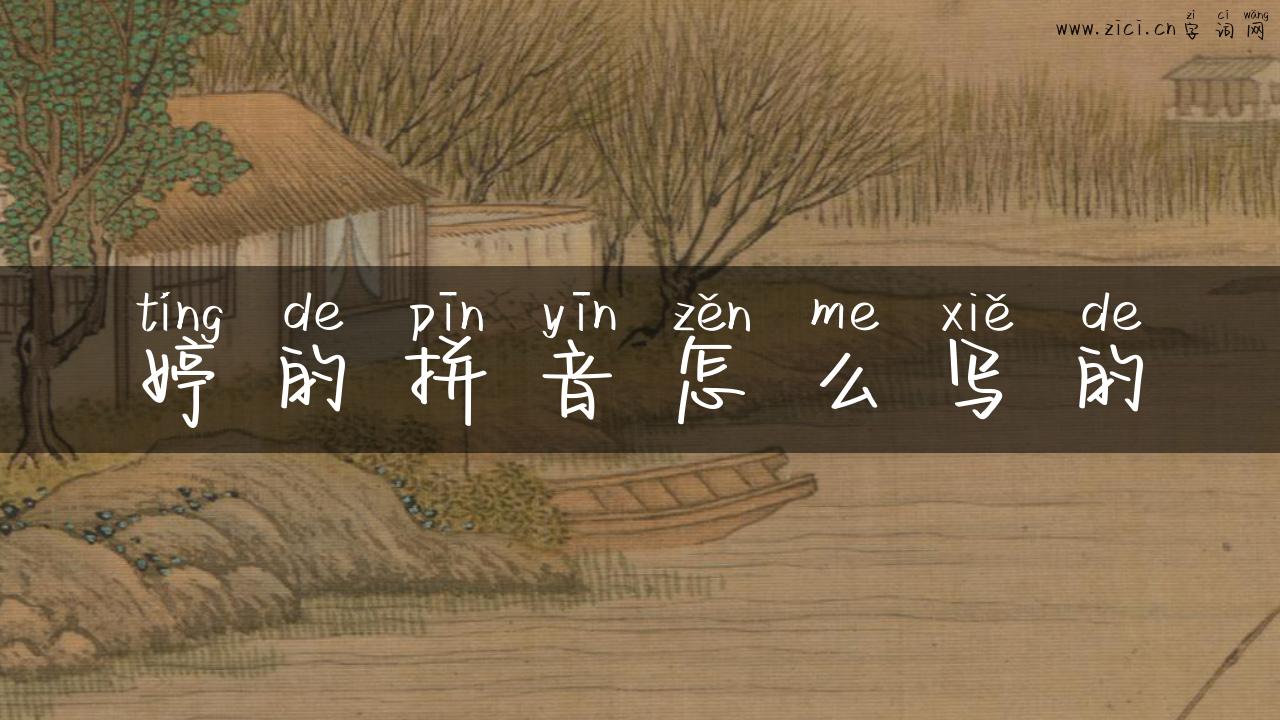 婷的拼音怎么写的