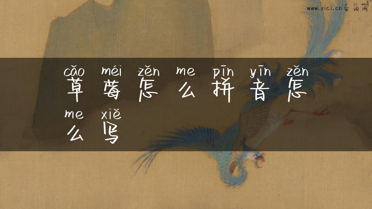 草莓怎么拼音怎么写