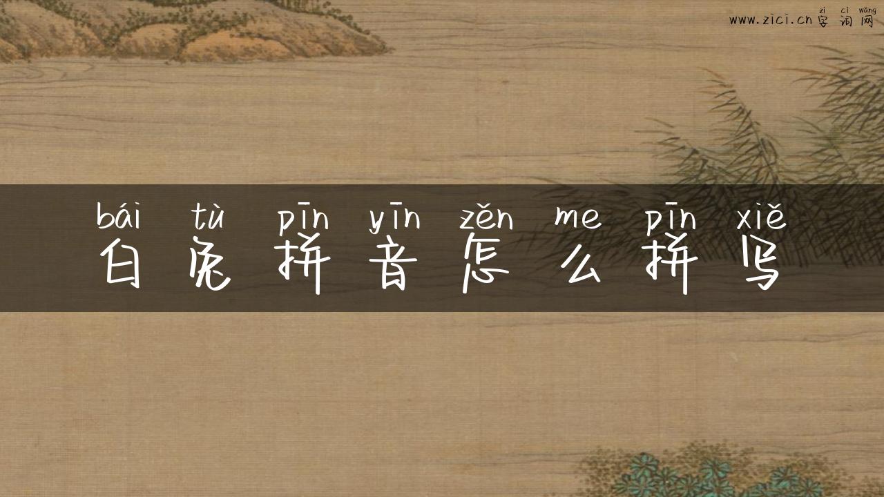 白兔拼音怎么拼写