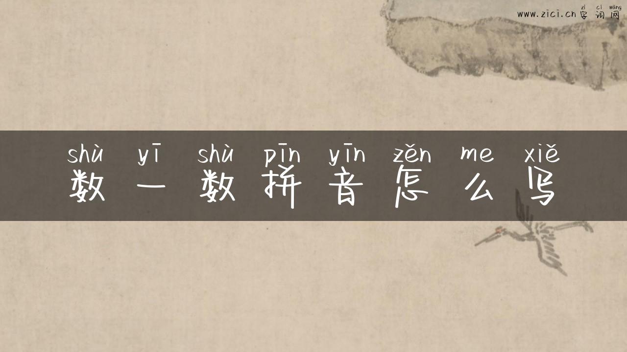 数一数拼音怎么写