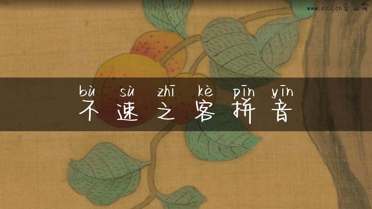 不速之客拼音