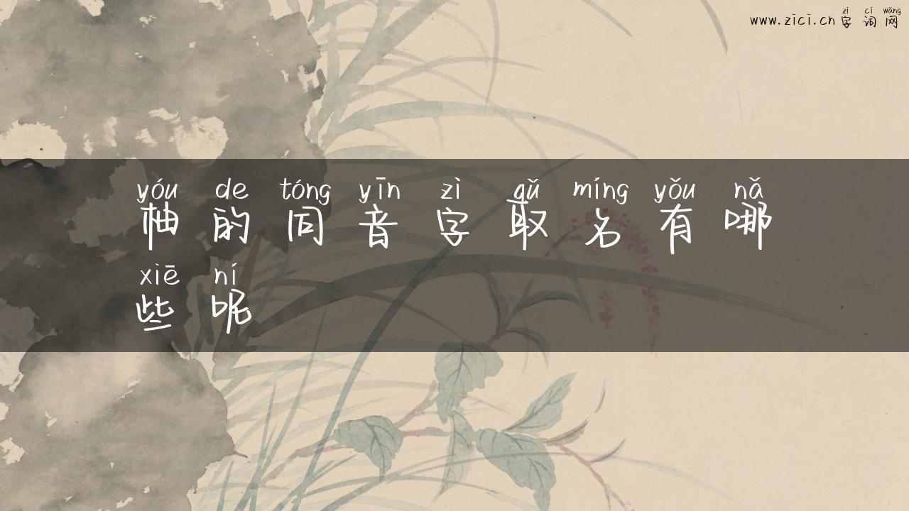 柚的同音字取名有哪些呢