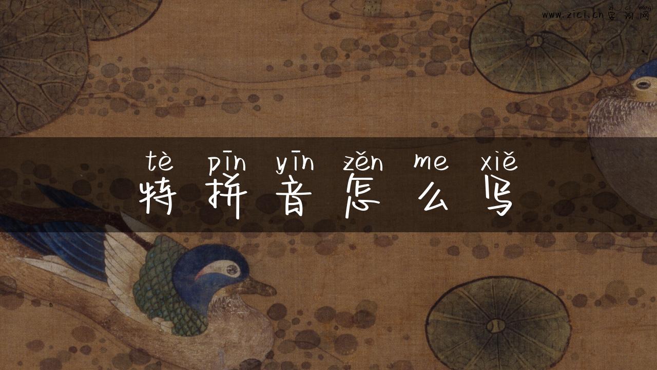 特拼音怎么写