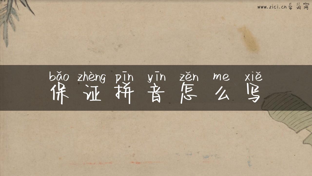 保证拼音怎么写