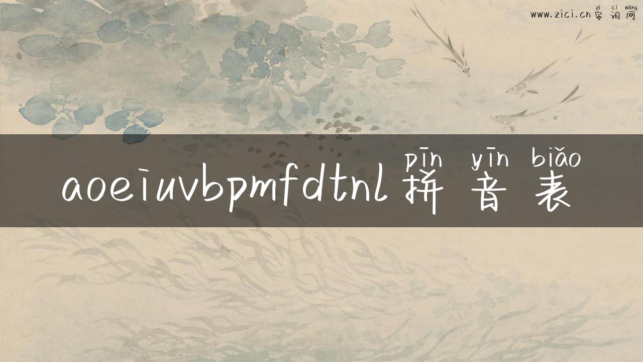 aoeiuvbpmfdtnl拼音表