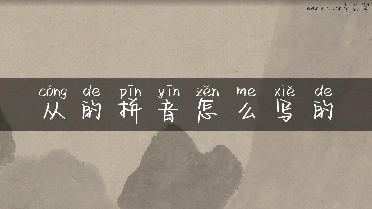 从的拼音怎么写的