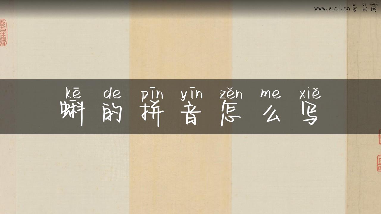 蝌的拼音怎么写
