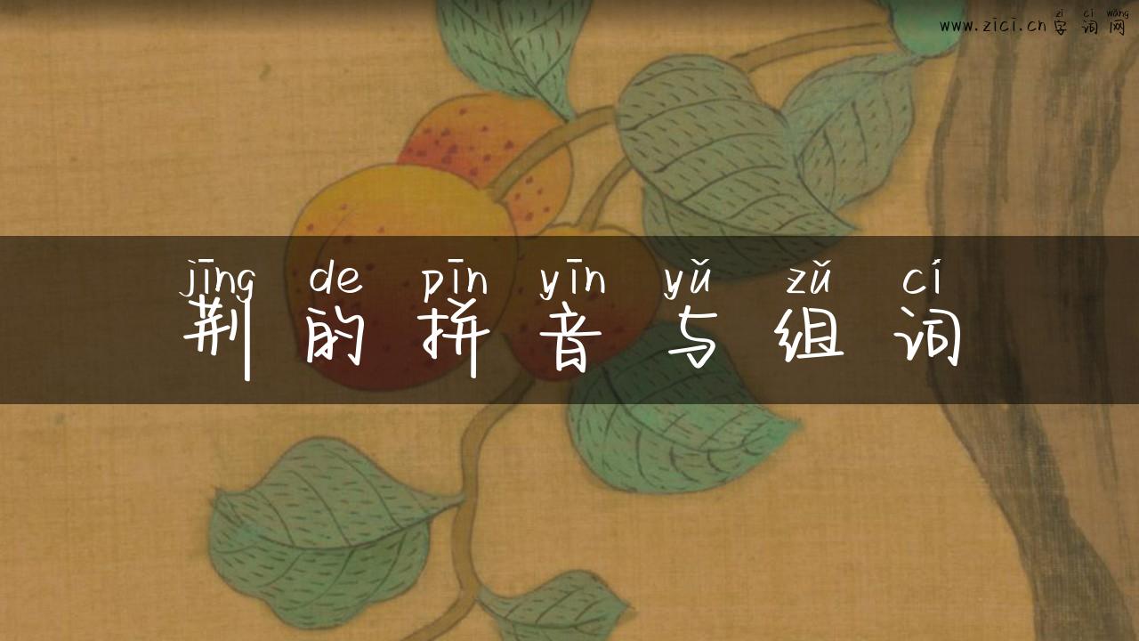 荆的拼音与组词