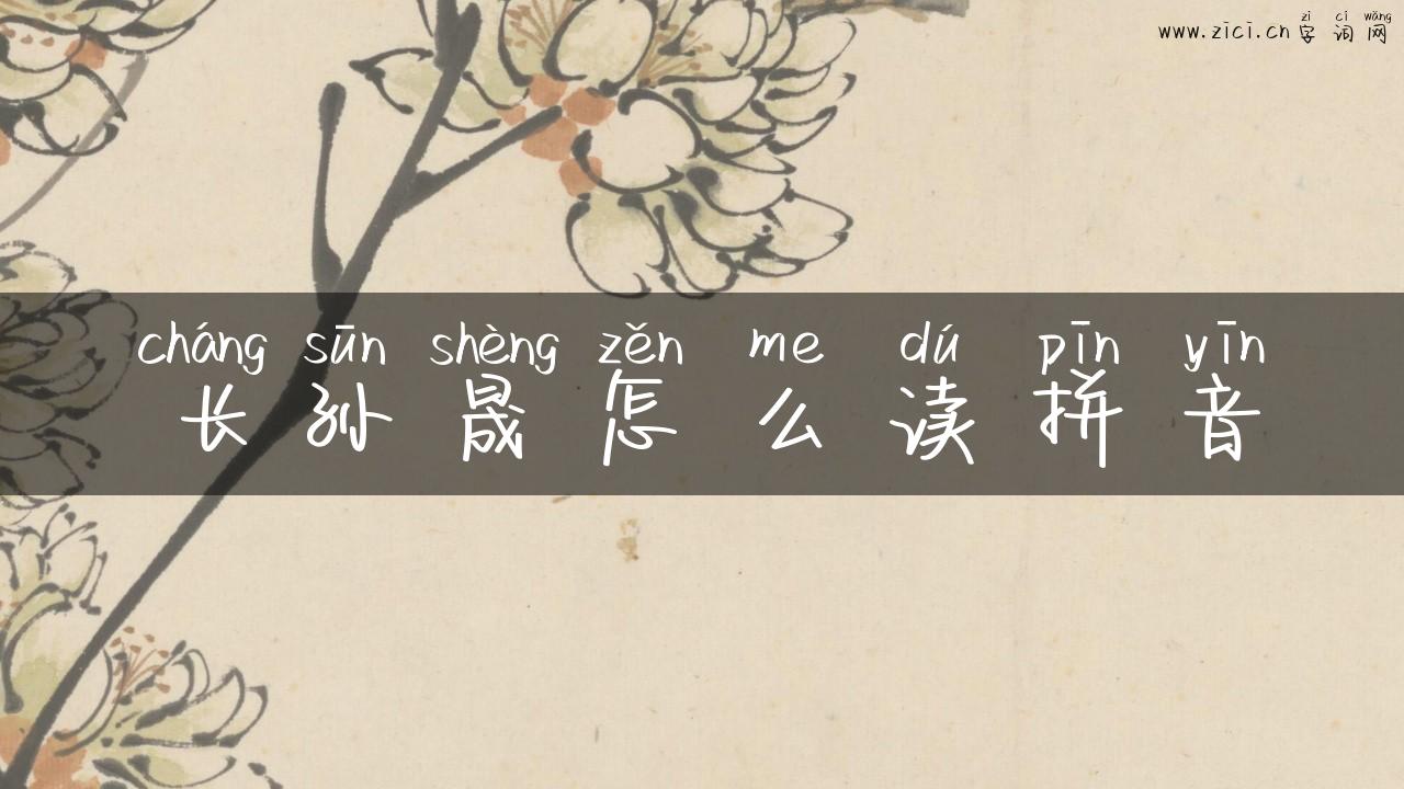 长孙晟怎么读拼音