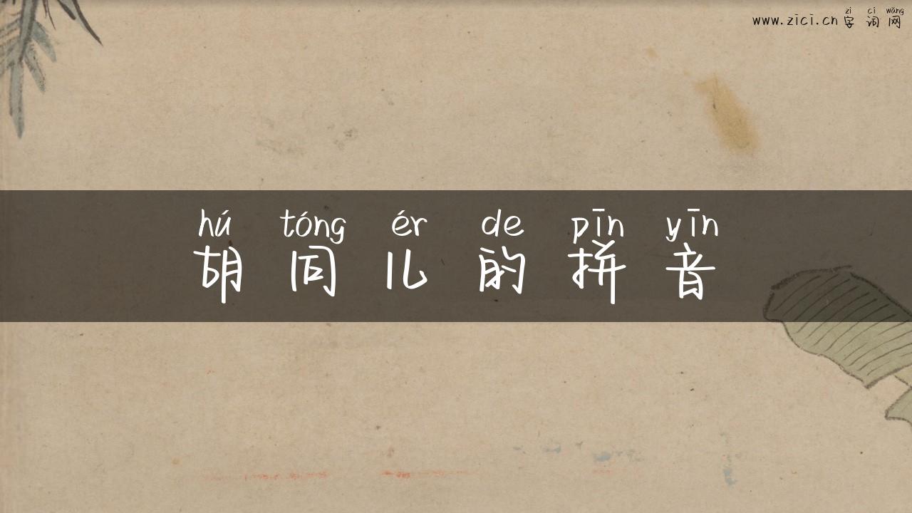 胡同儿的拼音