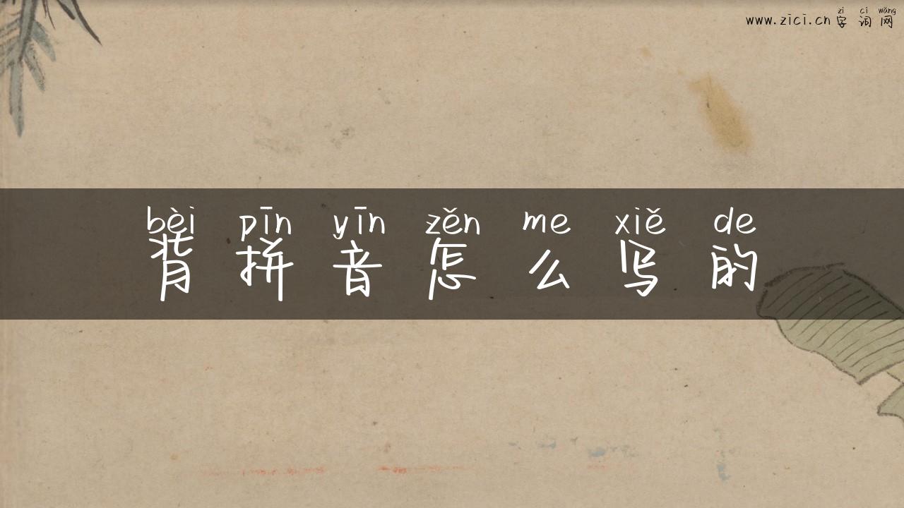 背拼音怎么写的