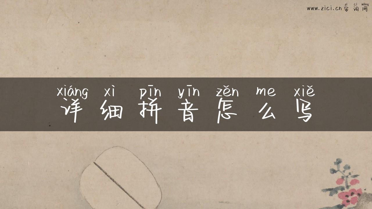 详细拼音怎么写