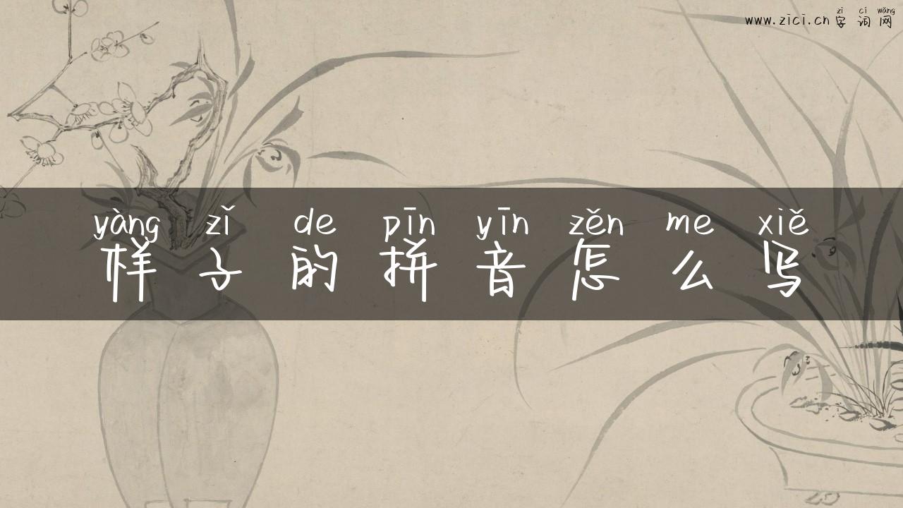 样子的拼音怎么写