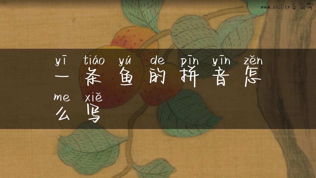 一条鱼的拼音怎么写