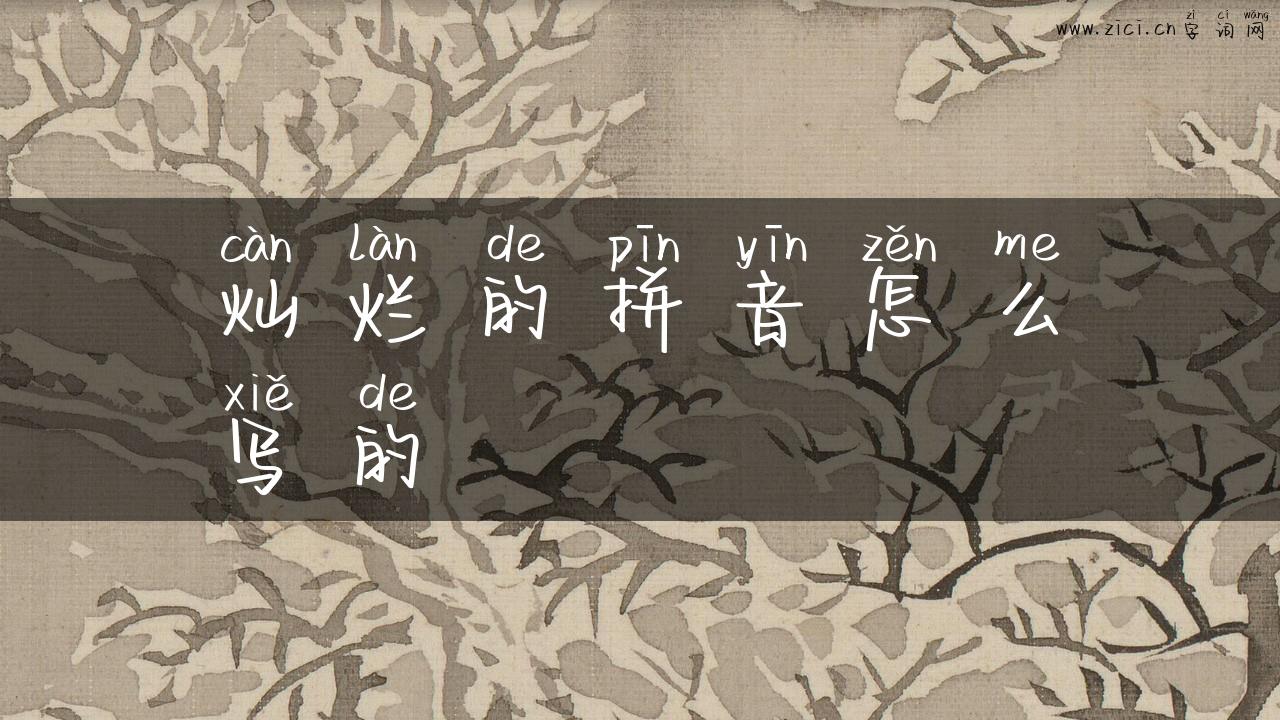 灿烂的拼音怎么写的