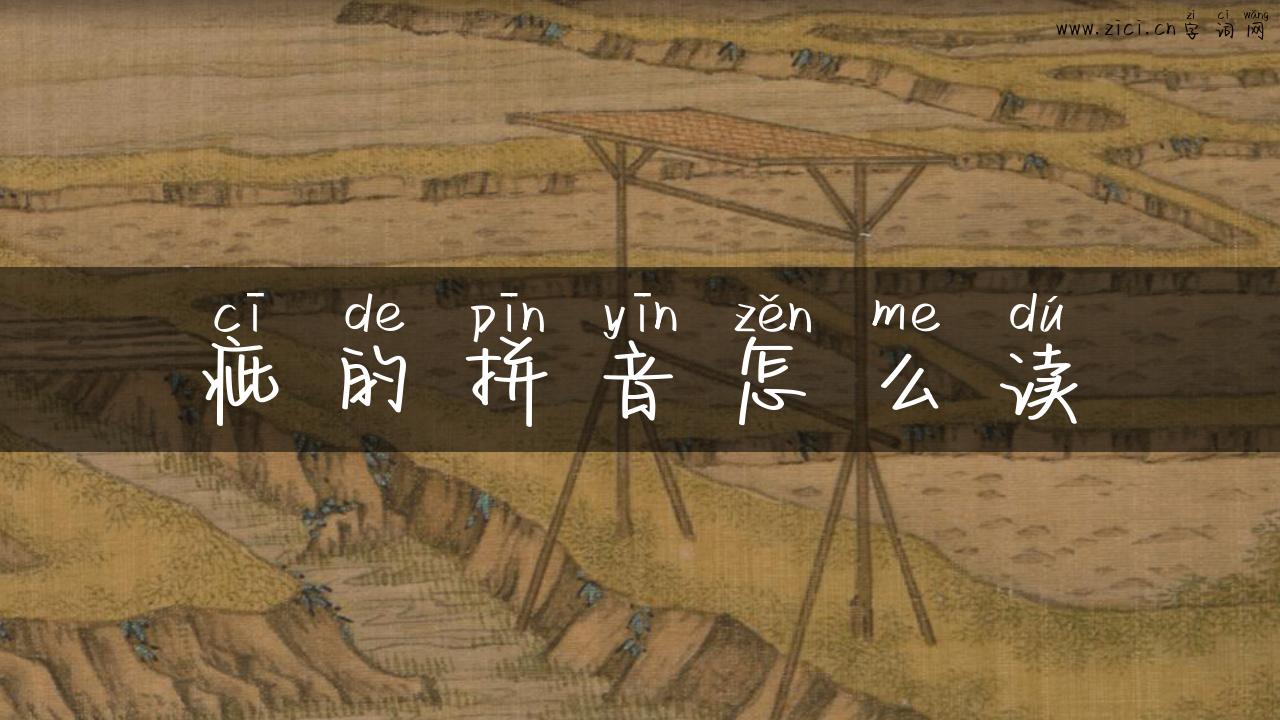 疵的拼音怎么读
