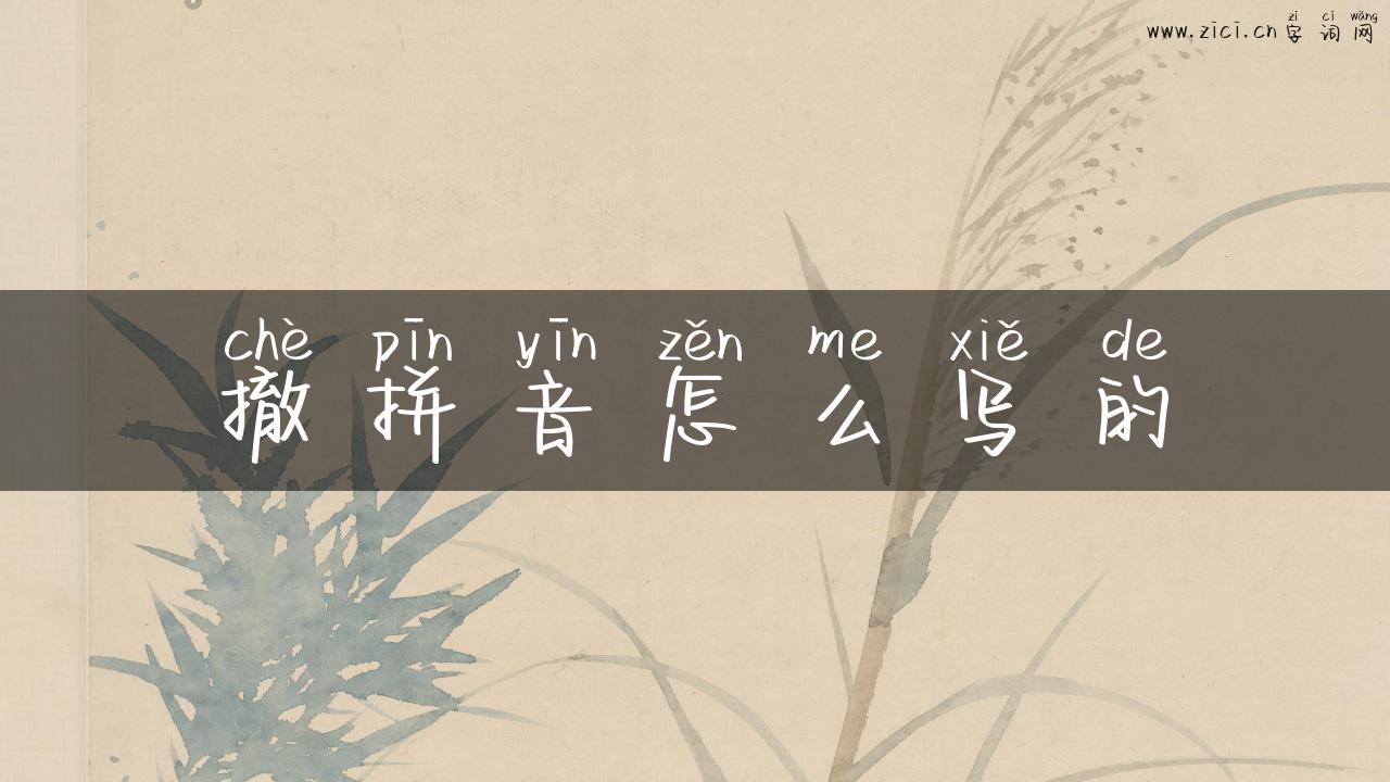 撤拼音怎么写的