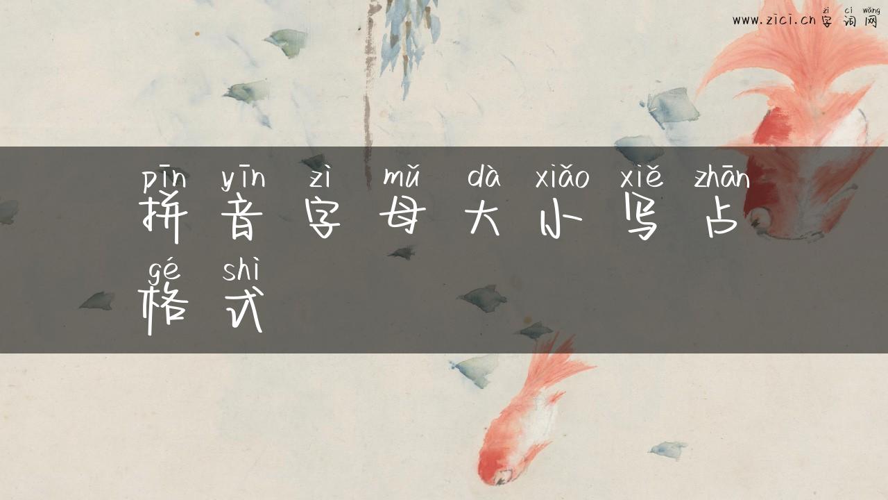 拼音字母大小写占格式