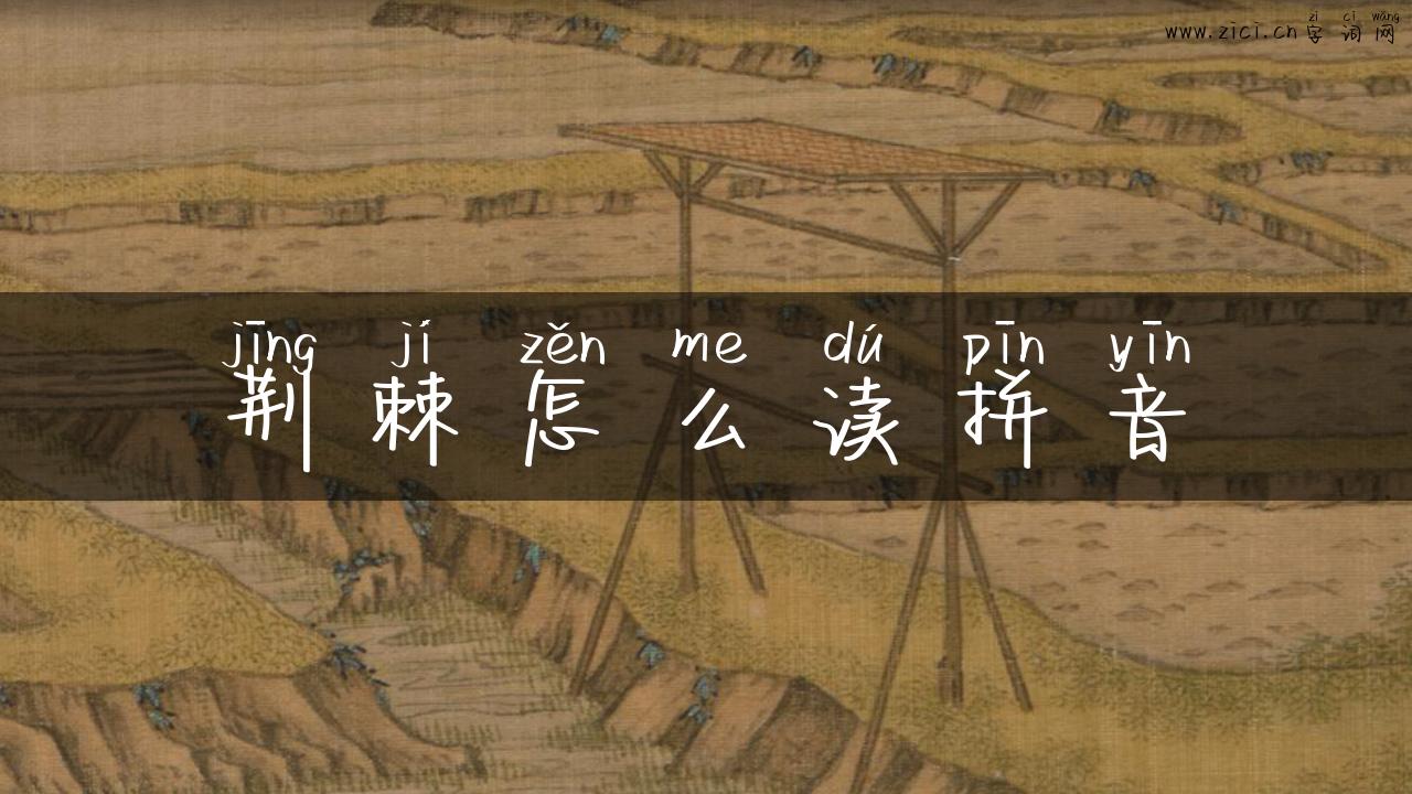 荆棘怎么读拼音