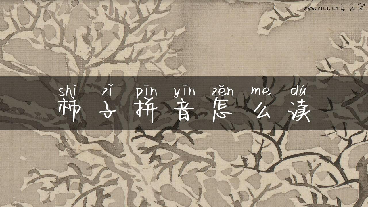 柿子拼音怎么读