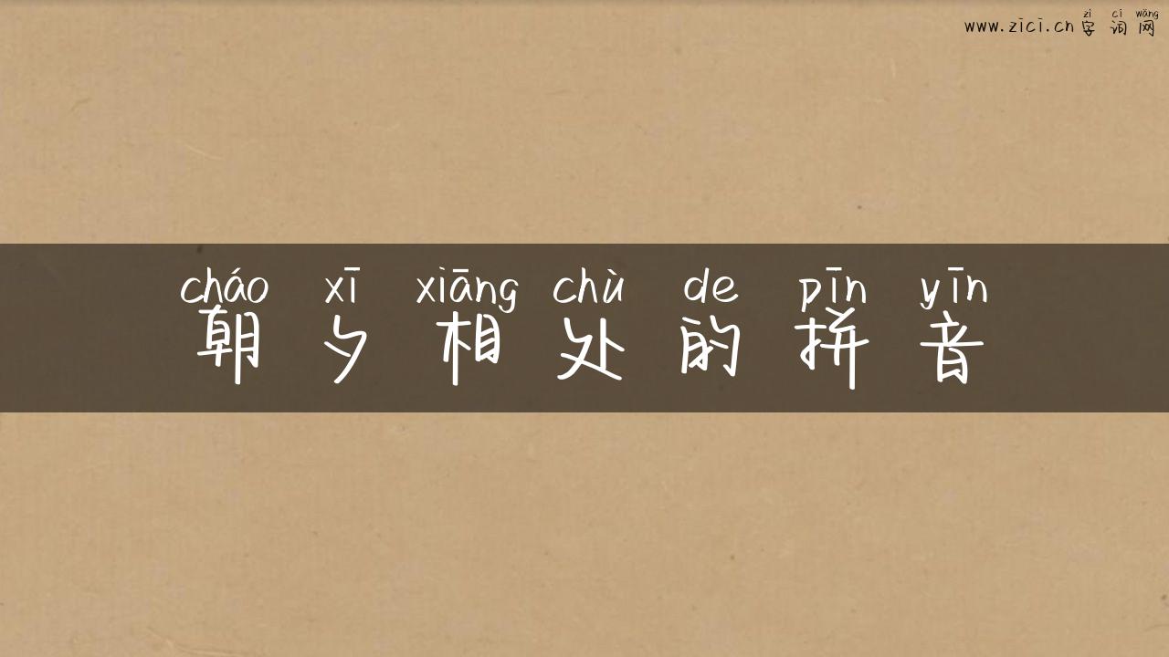 朝夕相处的拼音