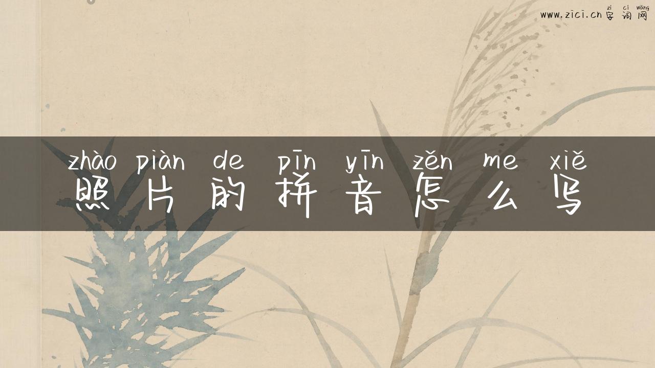 照片的拼音怎么写