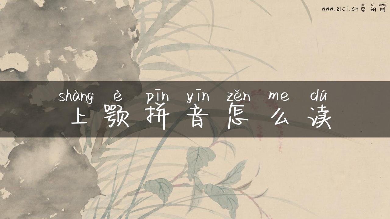 上颚拼音怎么读