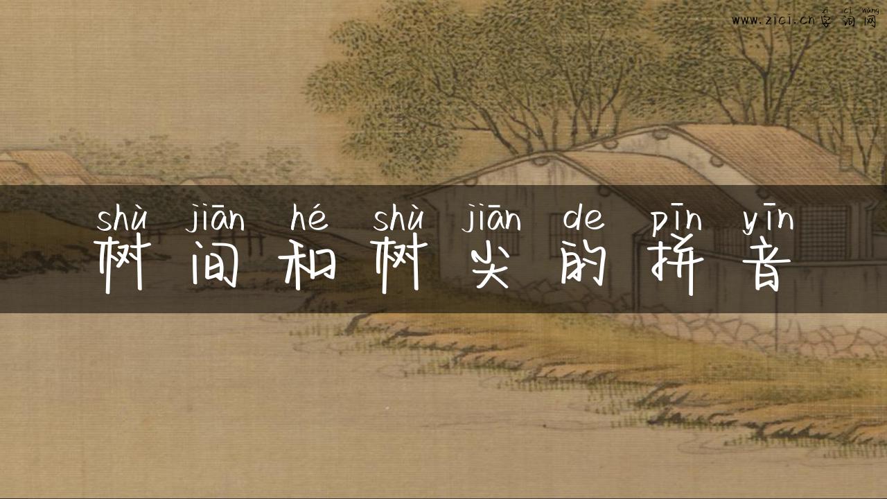 树间和树尖的拼音