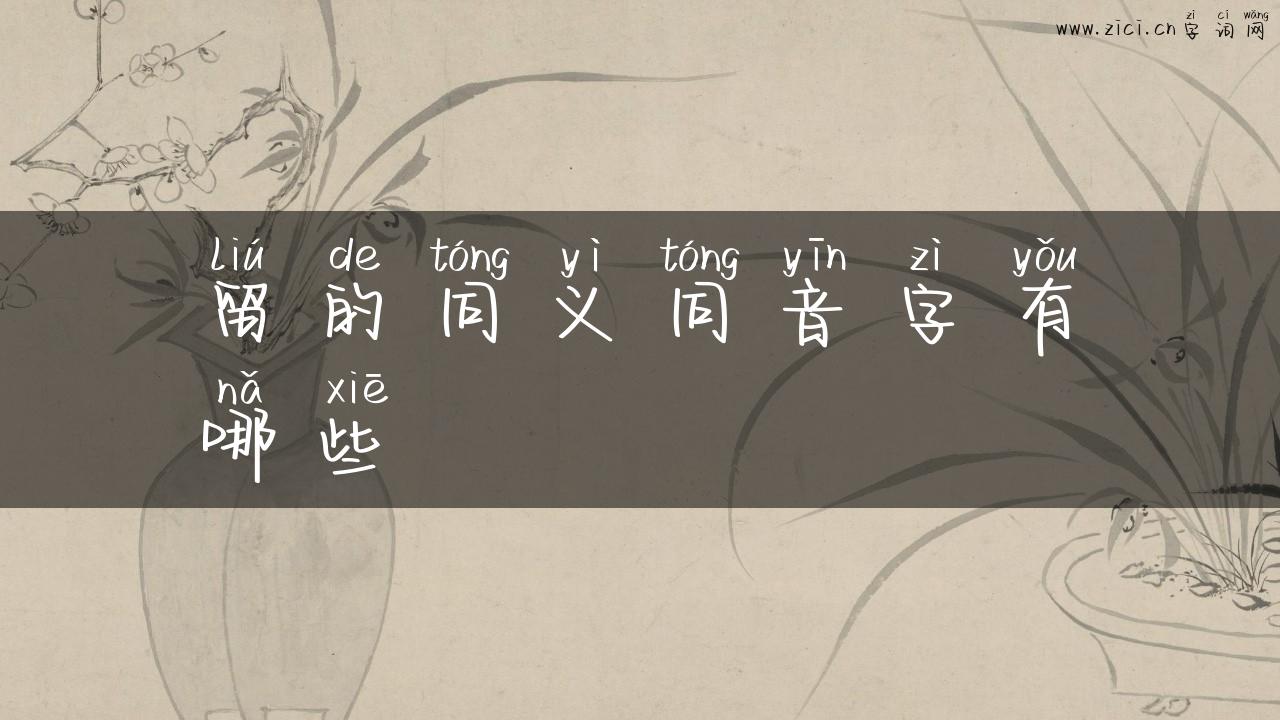 留的同义同音字有哪些