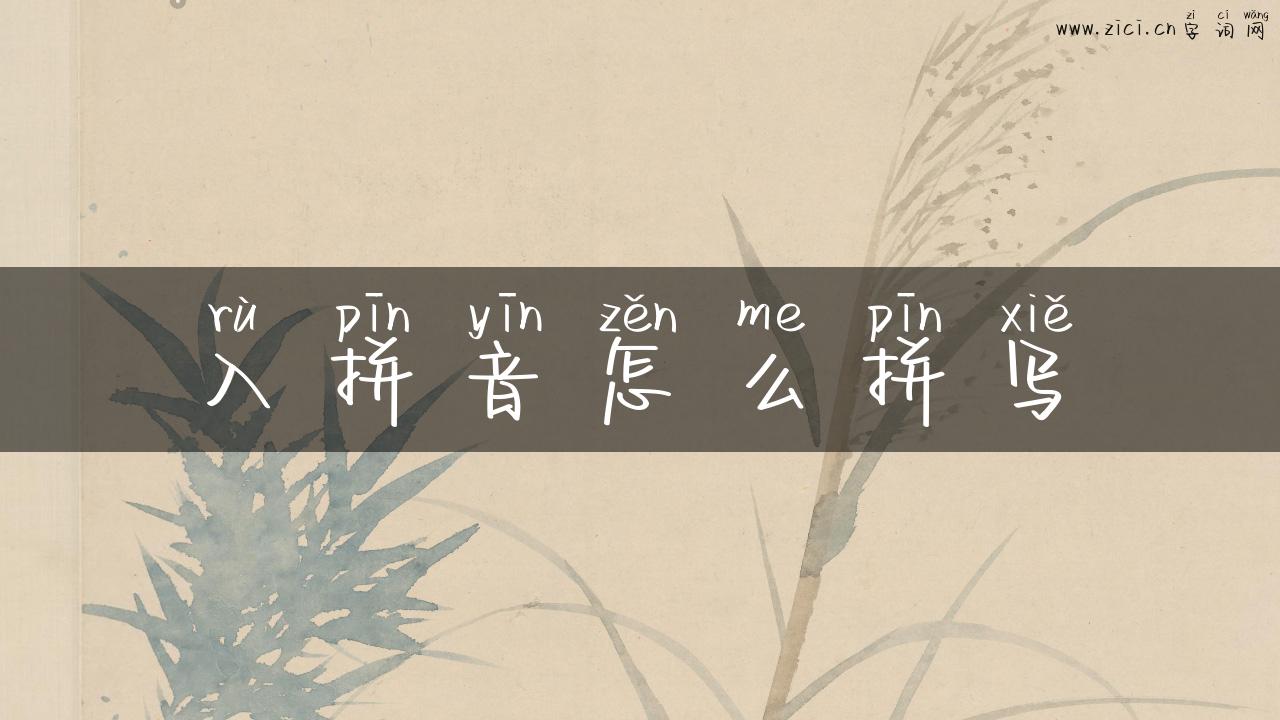 入拼音怎么拼写