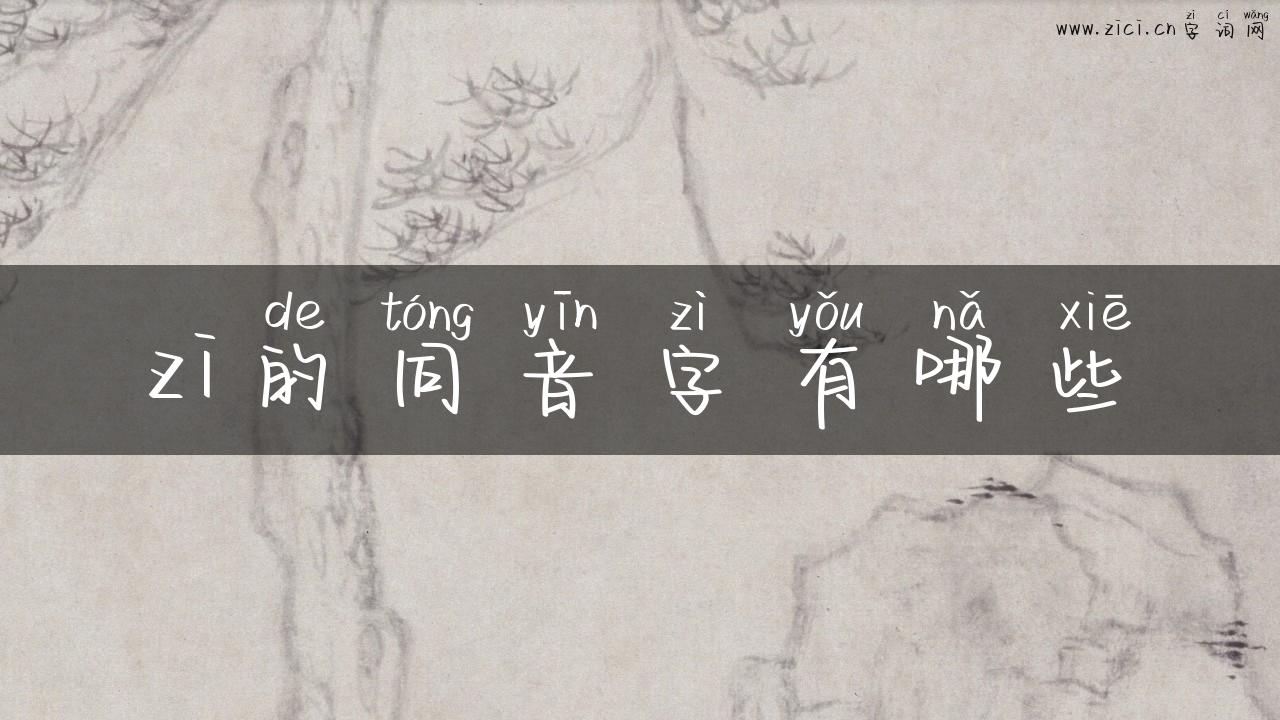 zi的同音字有哪些