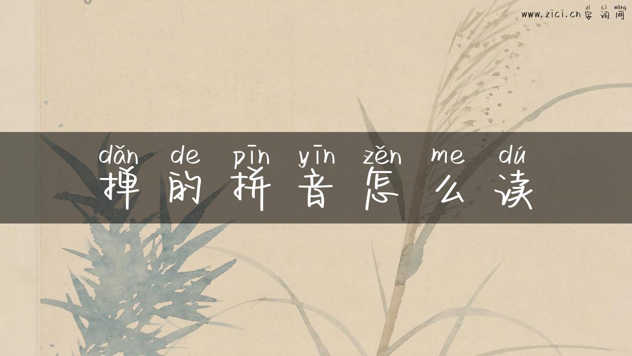 掸的拼音怎么读