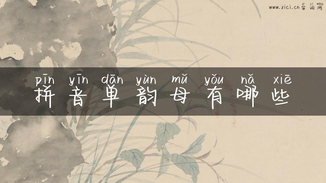 拼音单韵母有哪些