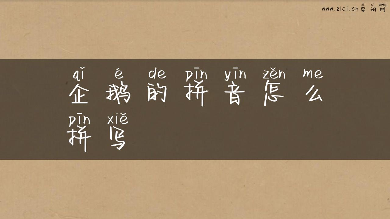 企鹅的拼音怎么拼写