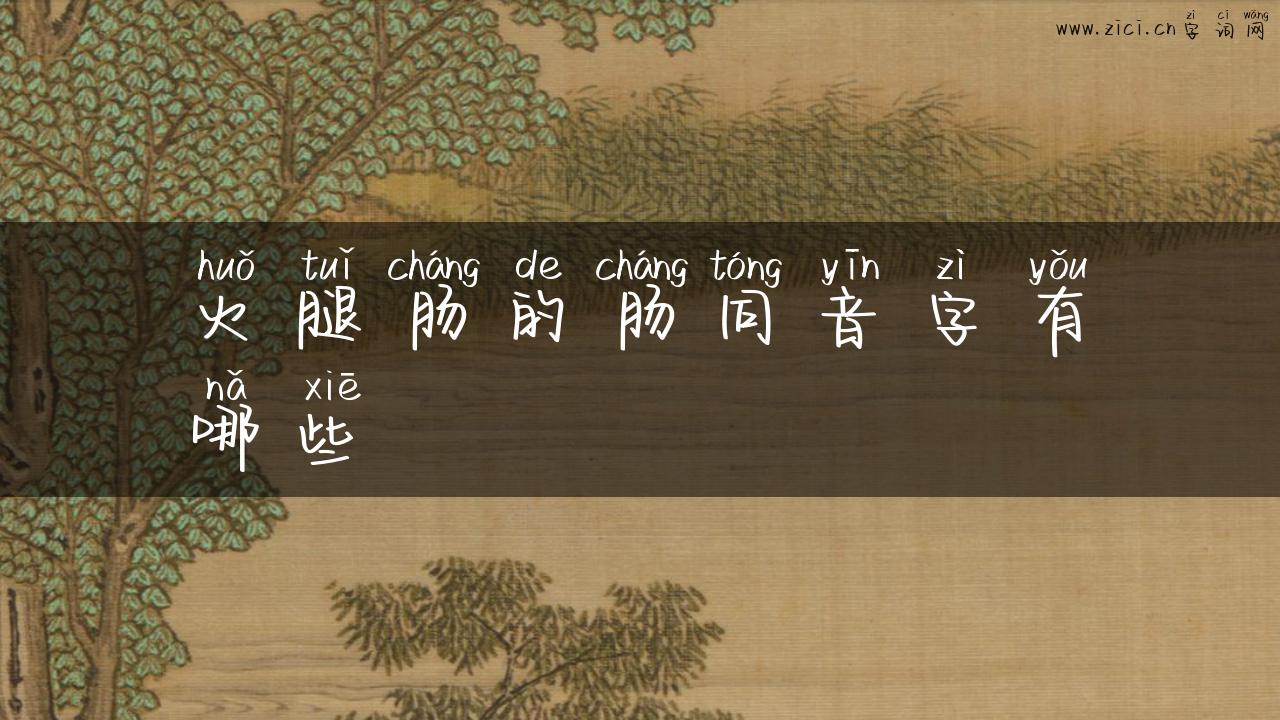 火腿肠的肠同音字有哪些