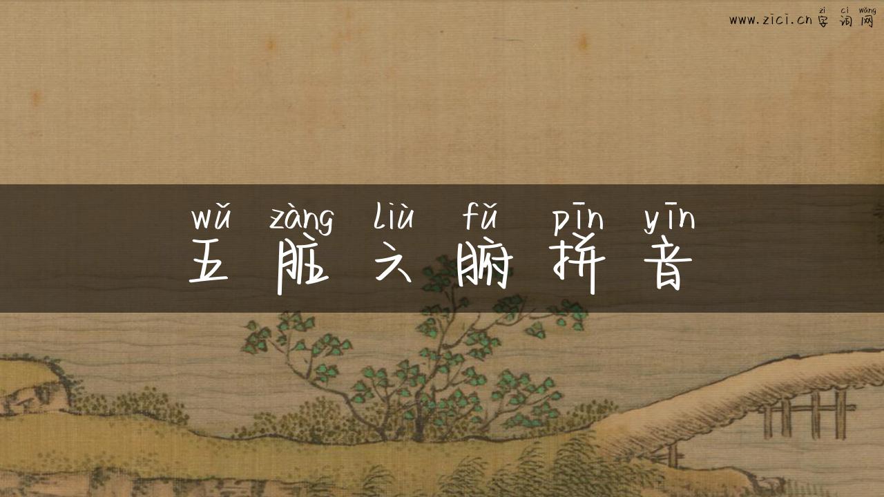 五脏六腑拼音