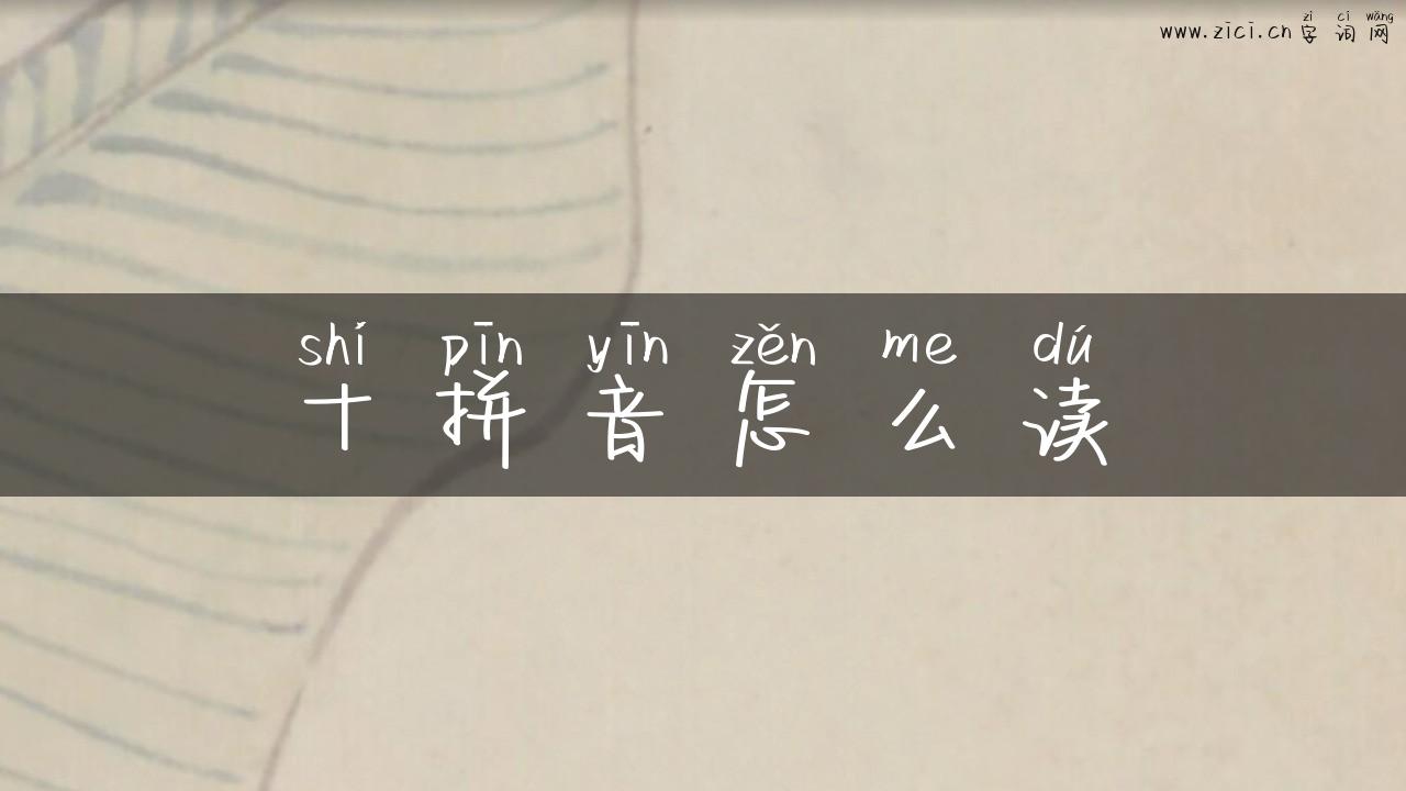 十拼音怎么读