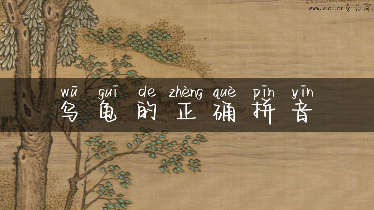 乌龟的正确拼音