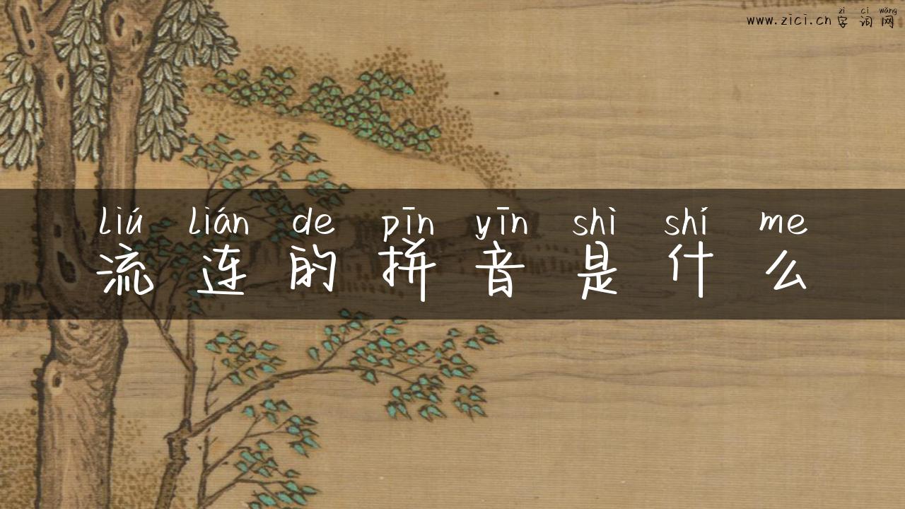 流连的拼音是什么