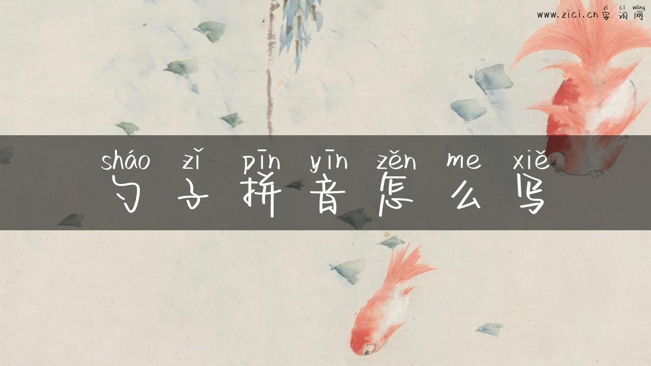 勺子拼音怎么写