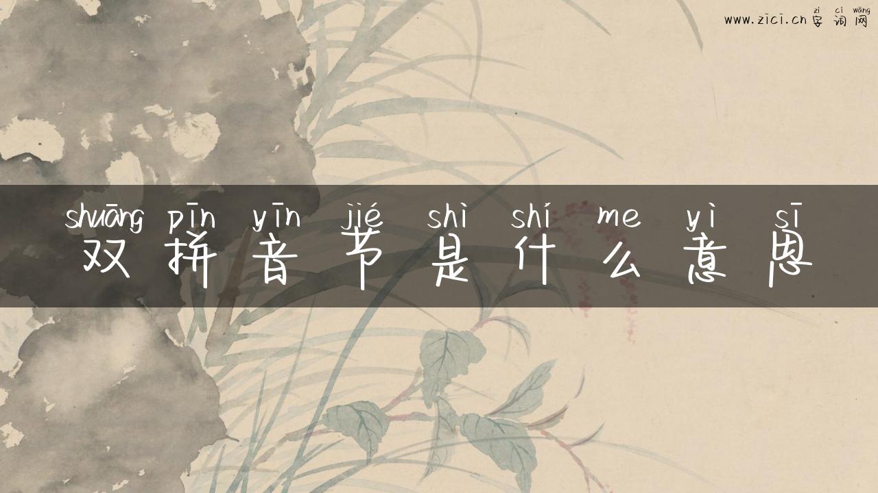 双拼音节是什么意思