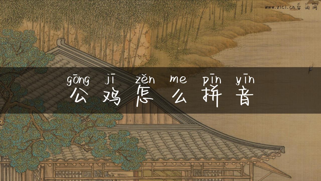 公鸡怎么拼音